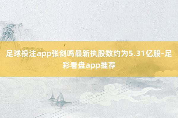 足球投注app张剑鸣最新执股数约为5.31亿股-足彩看盘app推荐