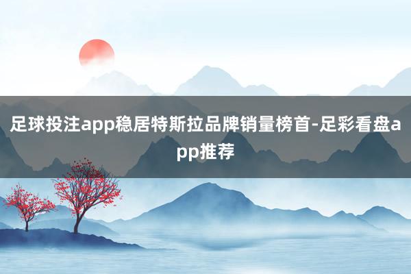 足球投注app稳居特斯拉品牌销量榜首-足彩看盘app推荐