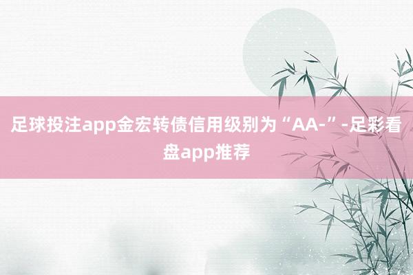 足球投注app金宏转债信用级别为“AA-”-足彩看盘app推荐