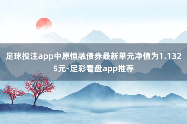 足球投注app中原恒融债券最新单元净值为1.1325元-足彩看盘app推荐