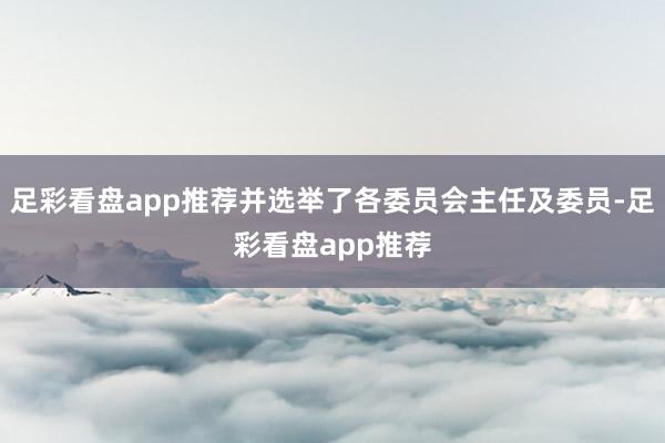 足彩看盘app推荐并选举了各委员会主任及委员-足彩看盘app推荐