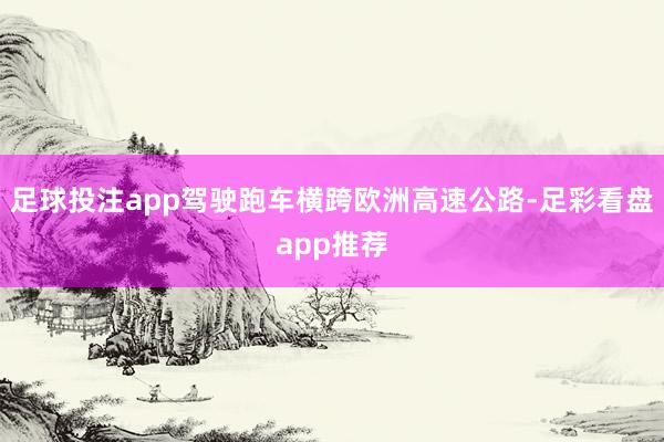 足球投注app驾驶跑车横跨欧洲高速公路-足彩看盘app推荐