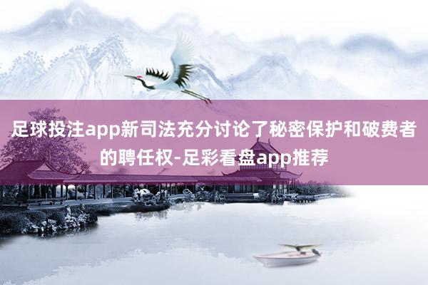 足球投注app新司法充分讨论了秘密保护和破费者的聘任权-足彩看盘app推荐